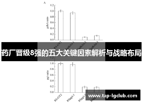 药厂晋级8强的五大关键因素解析与战略布局